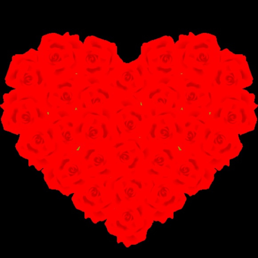 20 SHIPPING BOXES AND ENVELOPES